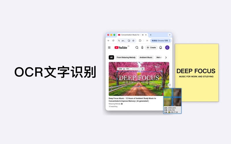 Longshot_截图OCR文字识别