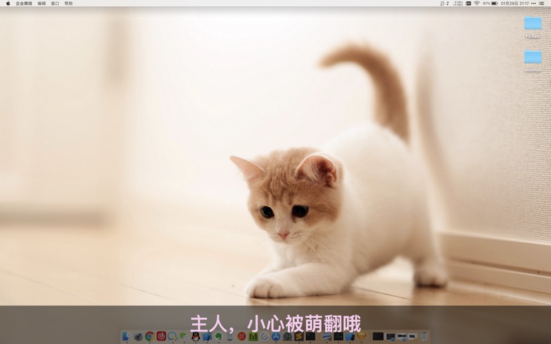 喵喵壁纸Catpaper