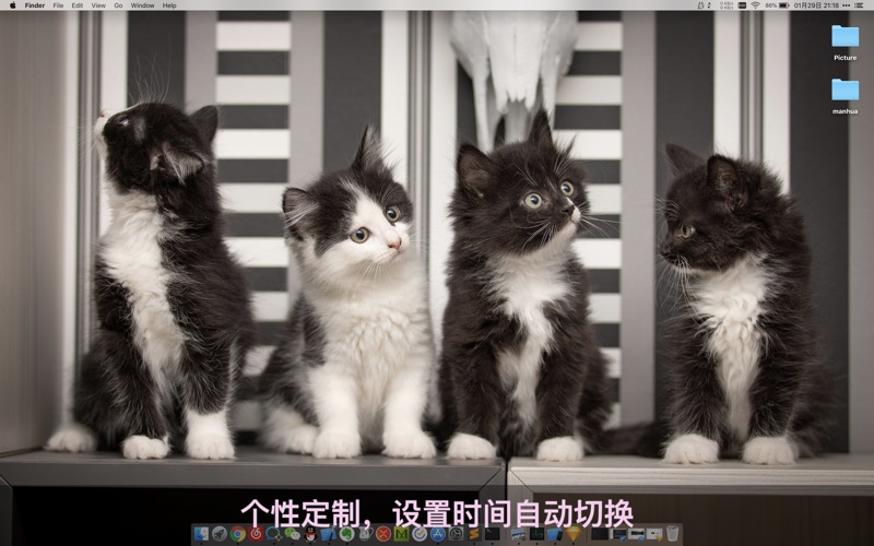 喵喵壁纸Catpaper