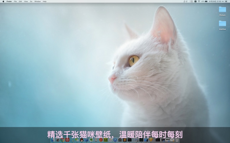 喵喵壁纸Catpaper