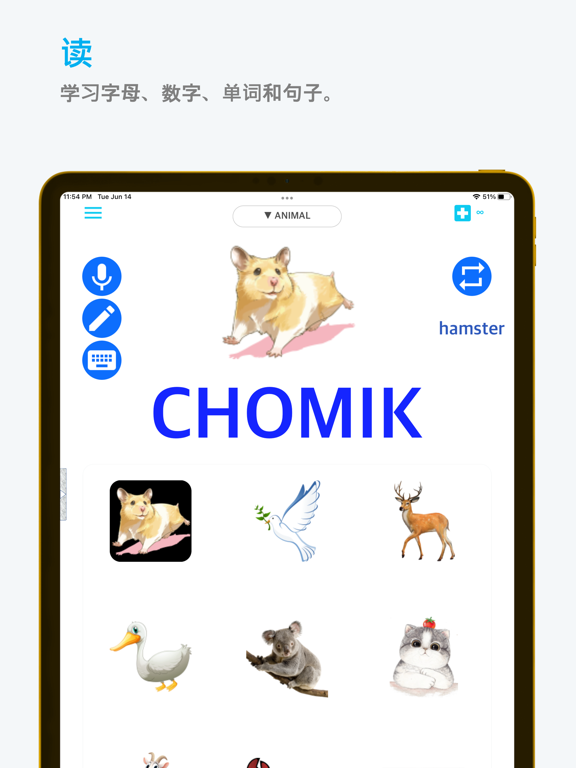Emme波兰语