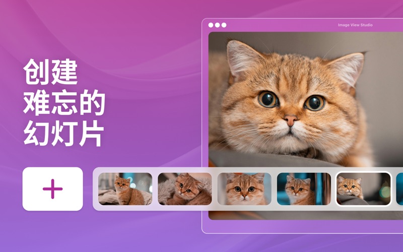 照片查看大师相册整理轻松查找图库中的图片