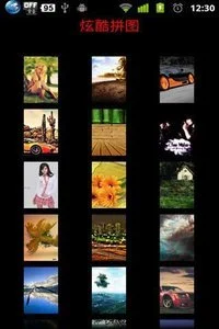 鸿蒙版【炫酷拼图】官方下载_炫酷拼图鸿蒙手机APP免费下载