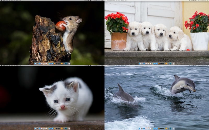 壁纸大全_超高清热门主题桌面墙纸