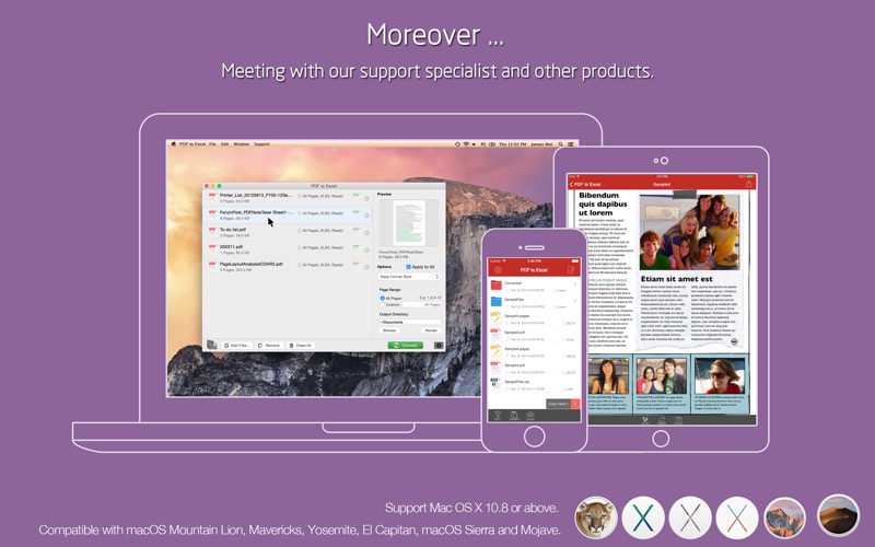 PDF转Excel_飞蜂PDF转换器全能格式转换器