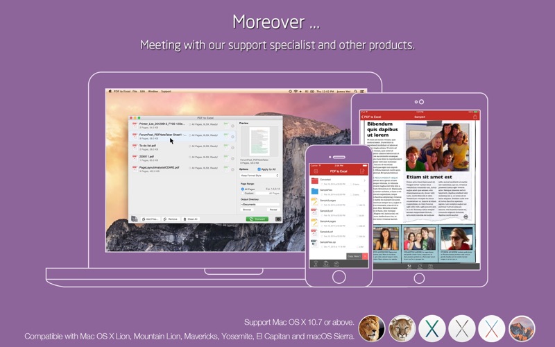 PDF转ExcelPro_飞蜂PDF转换器