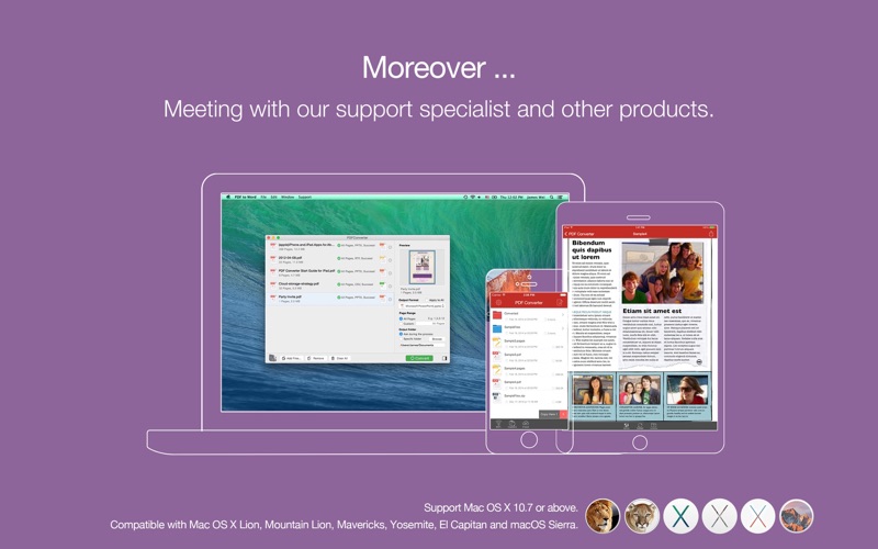 飞蜂PDF文件转换器_专业版