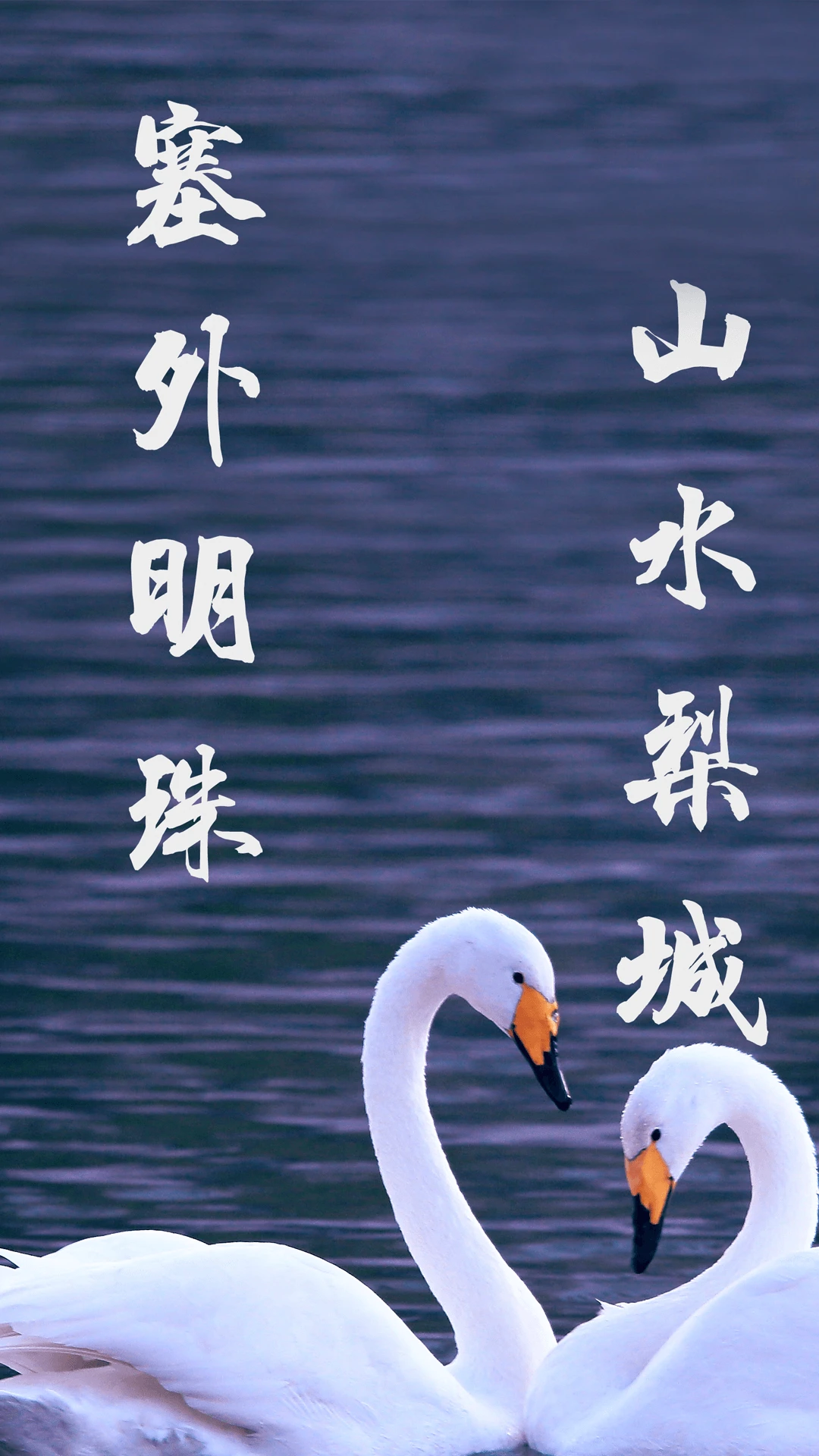 鸿蒙版【库尔勒好地方】官方下载_库尔勒好地方鸿蒙手机APP免费下载