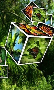 鸿蒙版【立方体照片动态壁纸】官方下载_立方体照片动态壁纸鸿蒙手机APP免费下载