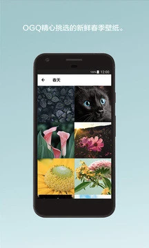 鸿蒙版【OGQ壁纸】官方下载_OGQ壁纸鸿蒙手机APP免费下载