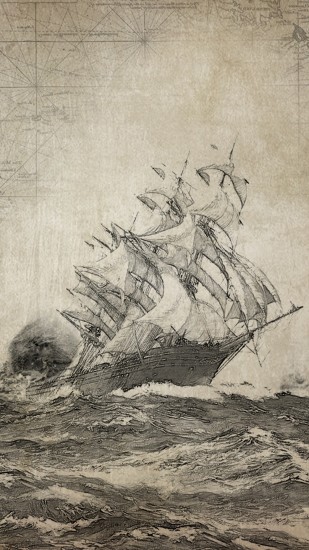 鸿蒙版【荒岛求生】官方下载_荒岛求生鸿蒙手机APP免费下载