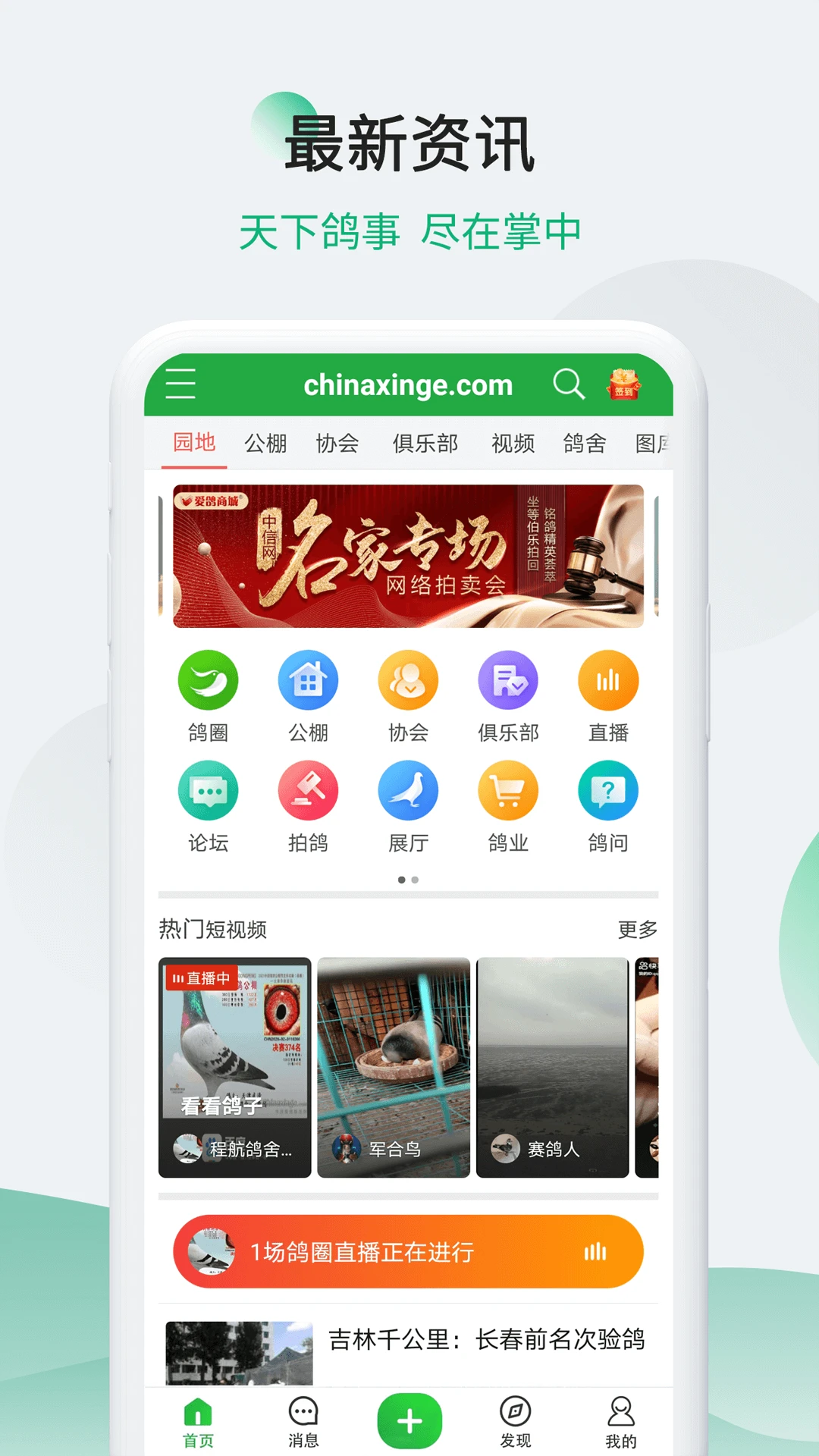 鸿蒙版【中信网-信鸽信息网】官方下载_中信网-信鸽信息网鸿蒙手机APP免费下载