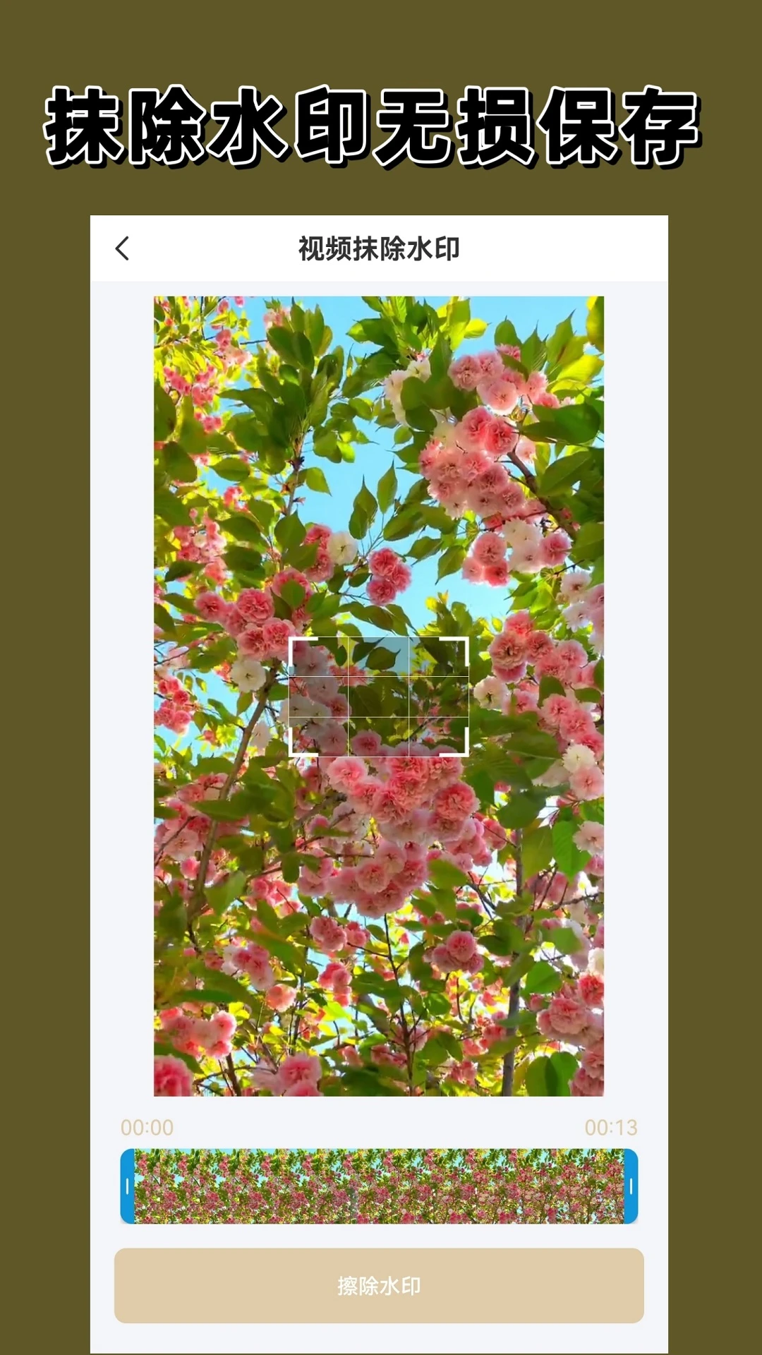 鸿蒙版【去水印大师】官方下载_去水印大师鸿蒙手机APP免费下载