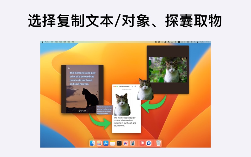 Picview_图片浏览器