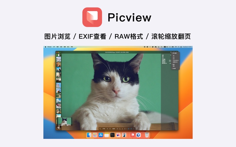 Picview_图片浏览器