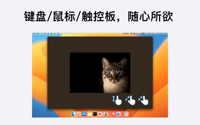 Picview_图片浏览器