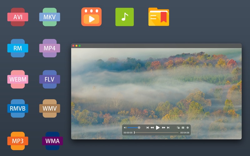LinPlayer_全能视频格式播放器