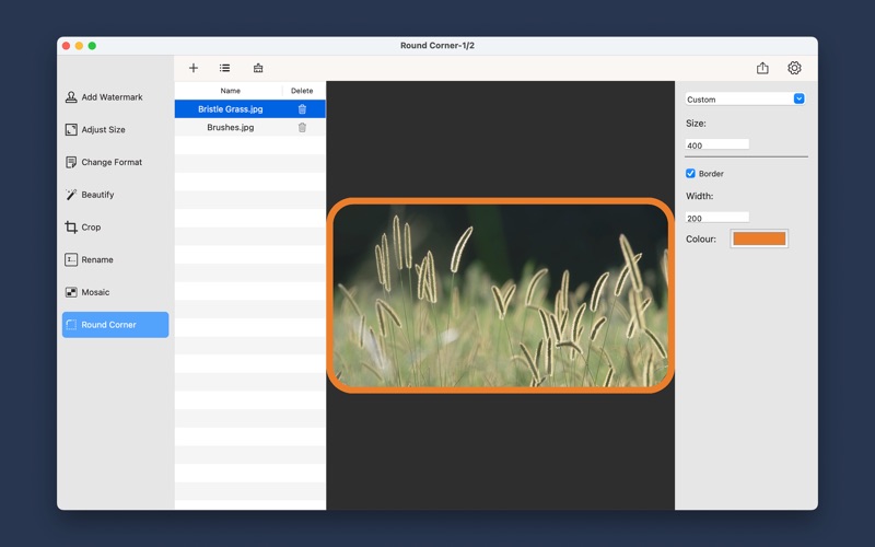 LinBatch_批量图片水印马赛克