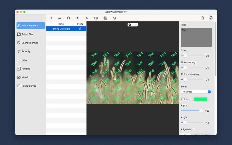 LinBatch_批量图片水印马赛克