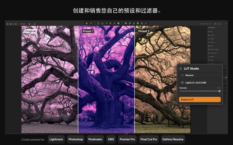 照片编辑器_IrixHDRClassic_滤镜叠加