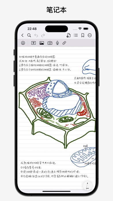 BoardNotes_笔记白板PDF思维导图闪卡