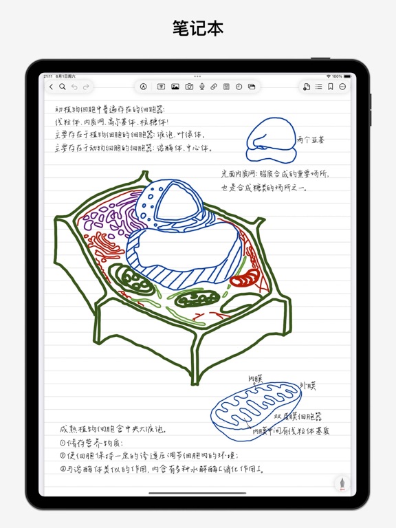 BoardNotes_笔记白板PDF思维导图闪卡