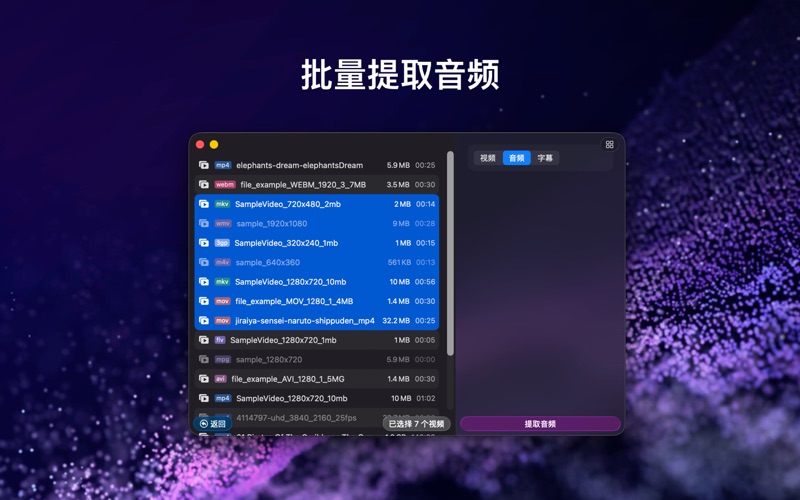 Videoer_视频转换