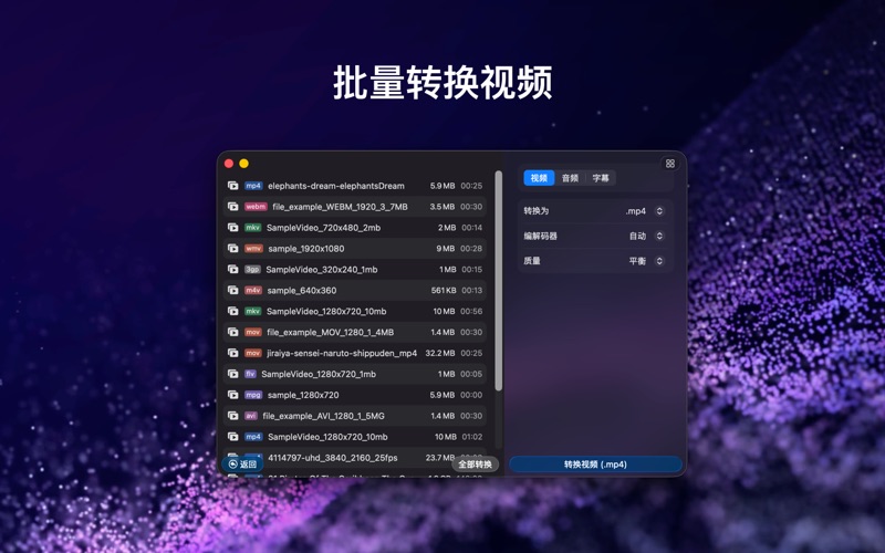 Videoer_视频转换