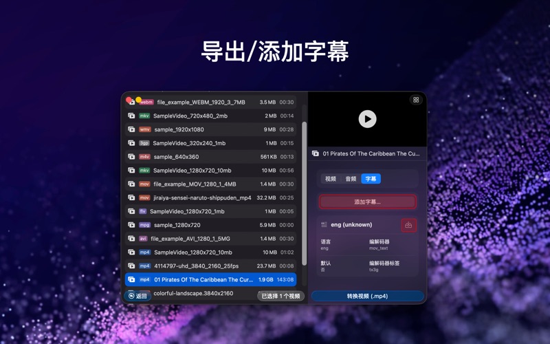 Videoer_视频转换