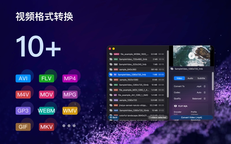 Videoer_视频转换
