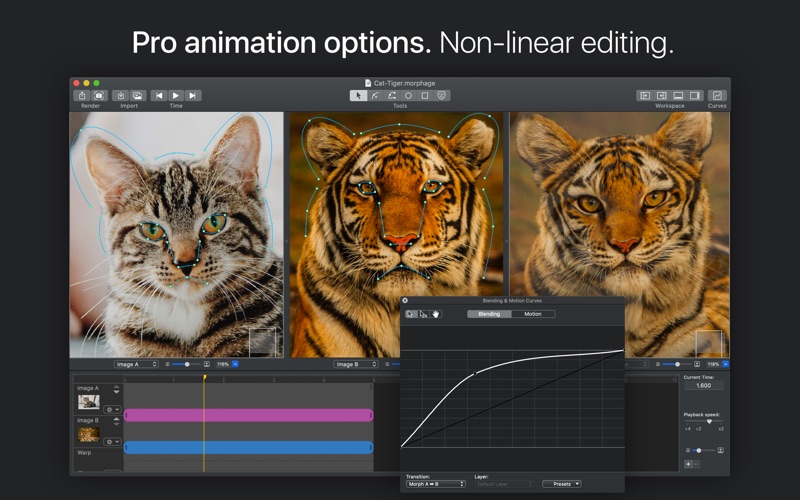 MorphAge照片变脸神器