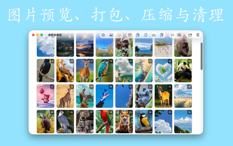 美照查看器_照片浏览管理