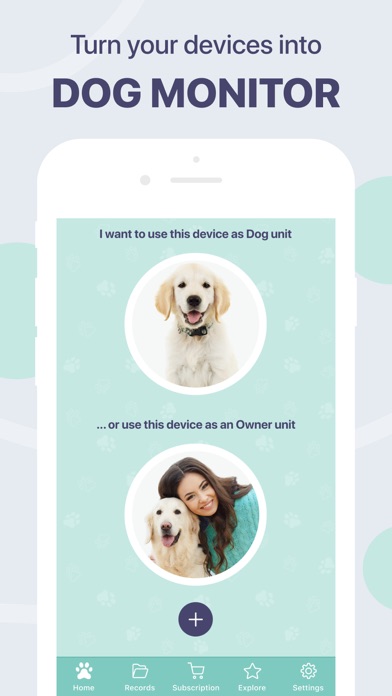 Buddy狗监视器和宠物摄像头