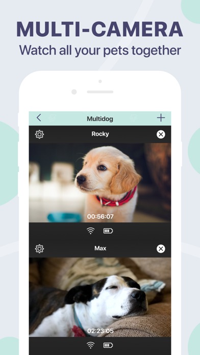 Buddy狗监视器和宠物摄像头