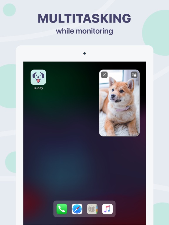 Buddy狗监视器和宠物摄像头