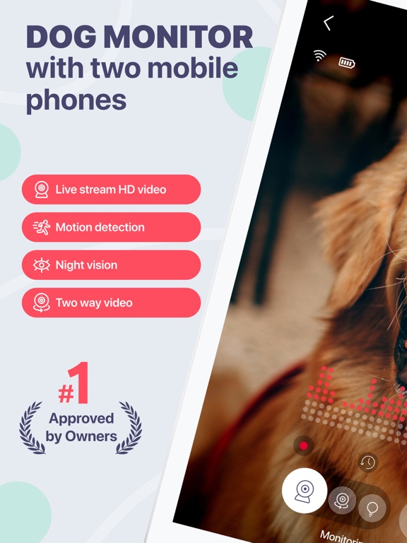 Buddy狗监视器和宠物摄像头