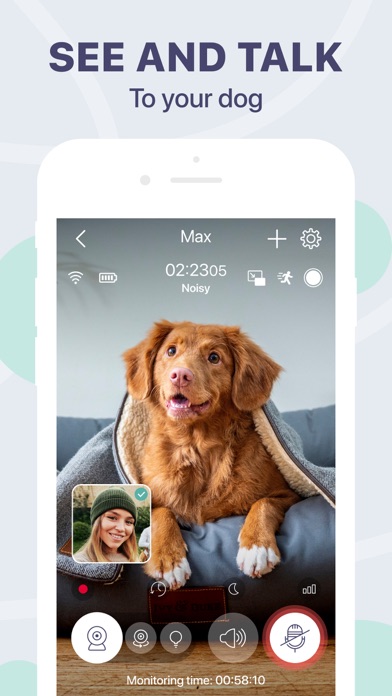 Buddy狗监视器和宠物摄像头