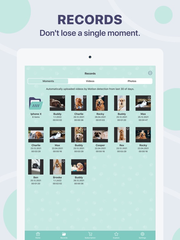 Buddy狗监视器和宠物摄像头