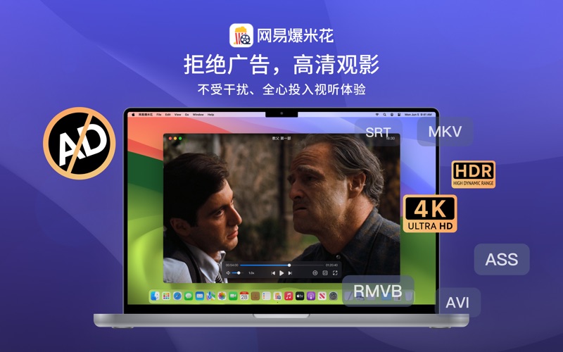 网易爆米花_智能媒体库全能云盘网盘播放器