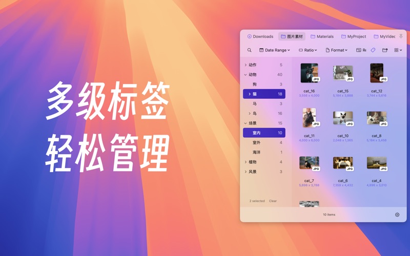 文件夹夹_常用文件快速访问