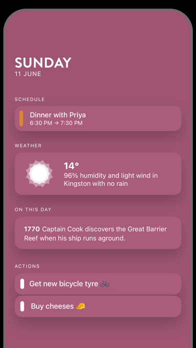 日历_Familyorganizerplanner