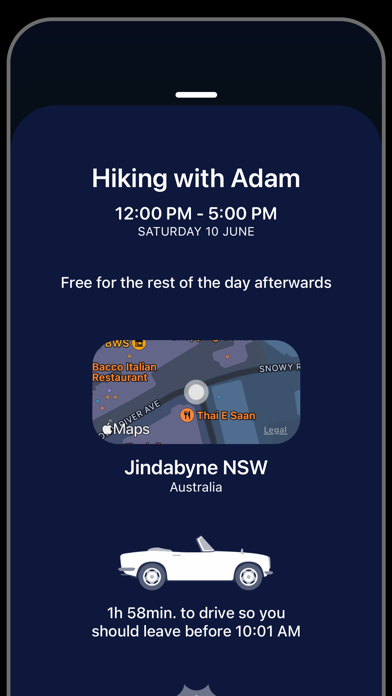 日历_Familyorganizerplanner