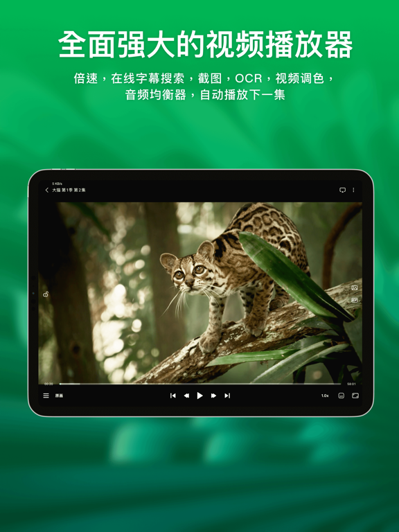VidHub_高清影片视频播放器快速播放云盘网盘