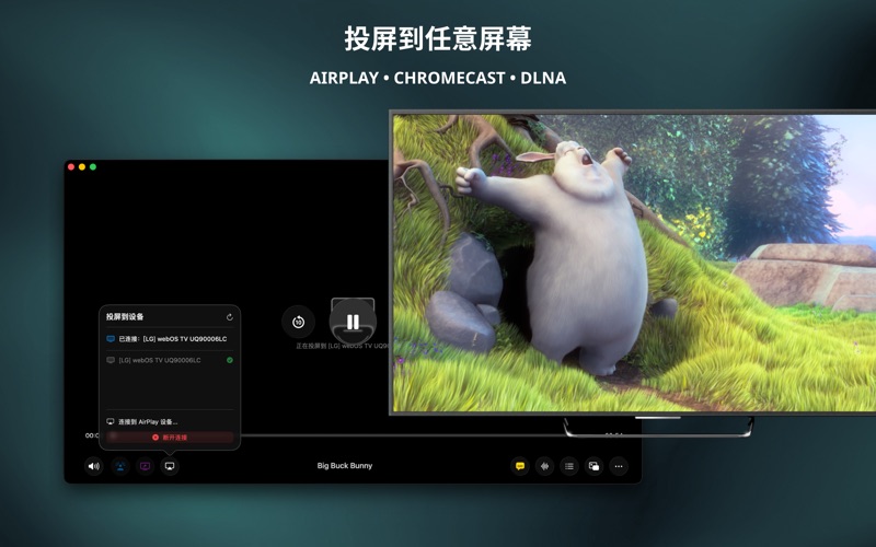 Vidi万能4K视频播放器