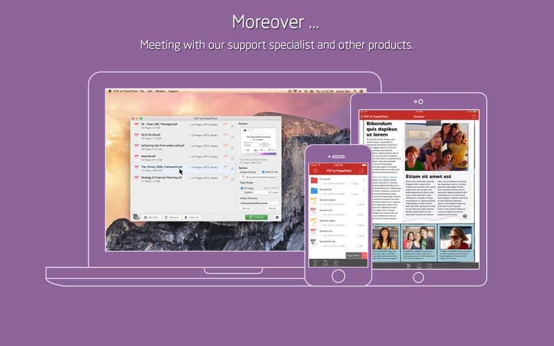 PDF转PowerPointPro_飞蜂全能格式转换器