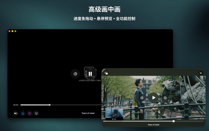 Vidi万能4K视频播放器