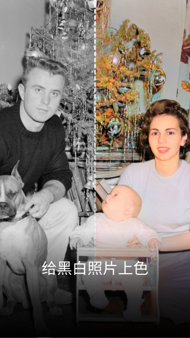 老照片修复照片高清翻新视频高清修复_Pholorize