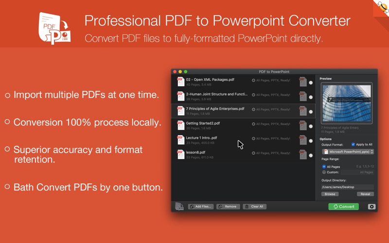 PDF转PowerPointPro_飞蜂全能格式转换器
