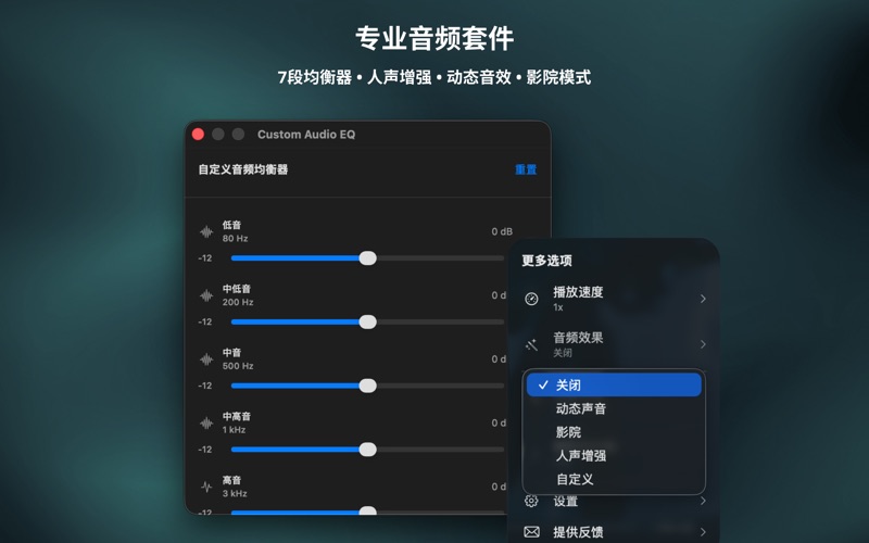 Vidi万能4K视频播放器