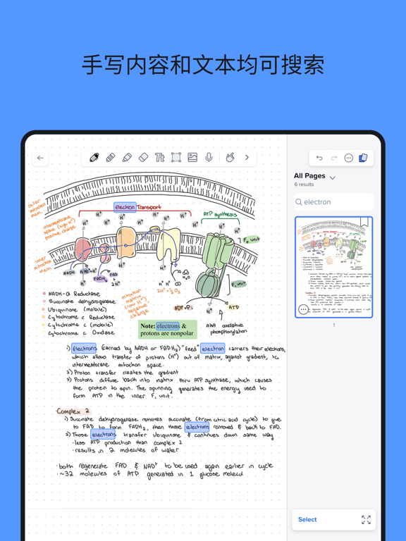 Notability笔记PDF